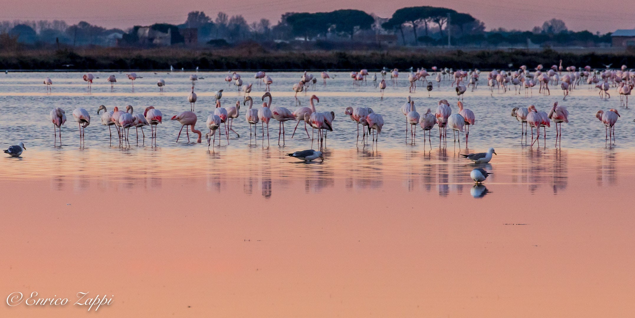 PARCO DELLE SALINE