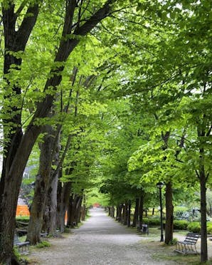 VIALE DEI TIGLI E VILLA COMUNALE