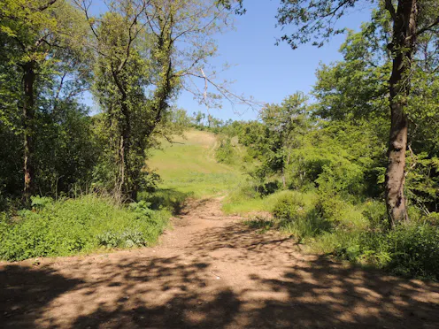 VALLONE DELLA RADICA