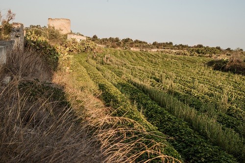 PARCO RAUCCIO