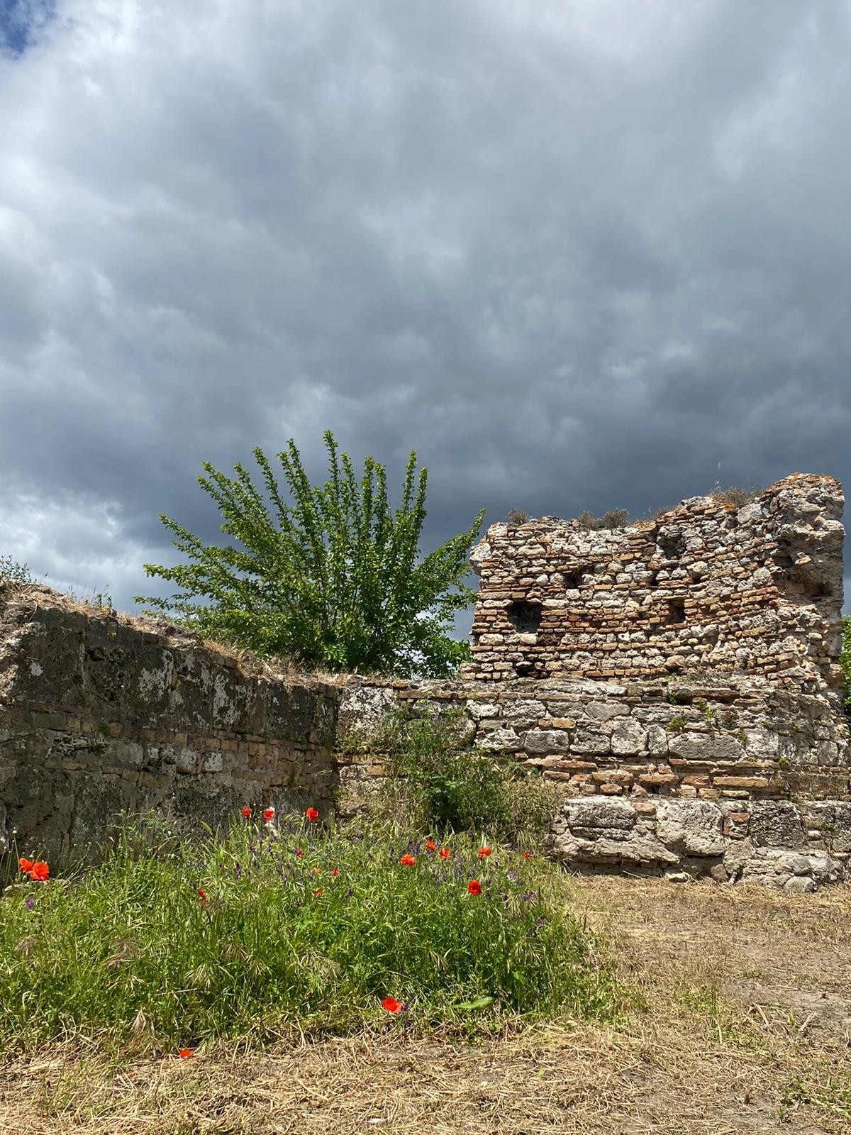 PALATIUM DI QUOTE S. FRANCESCO