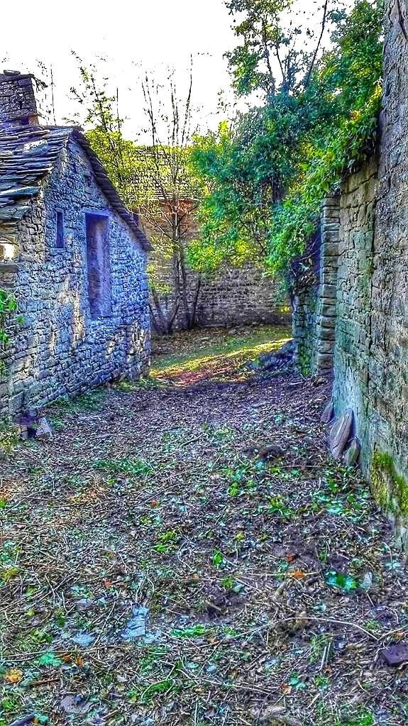 BRENTO SANICO SAN PELLEGRINO FIRENZUOLA (FI)