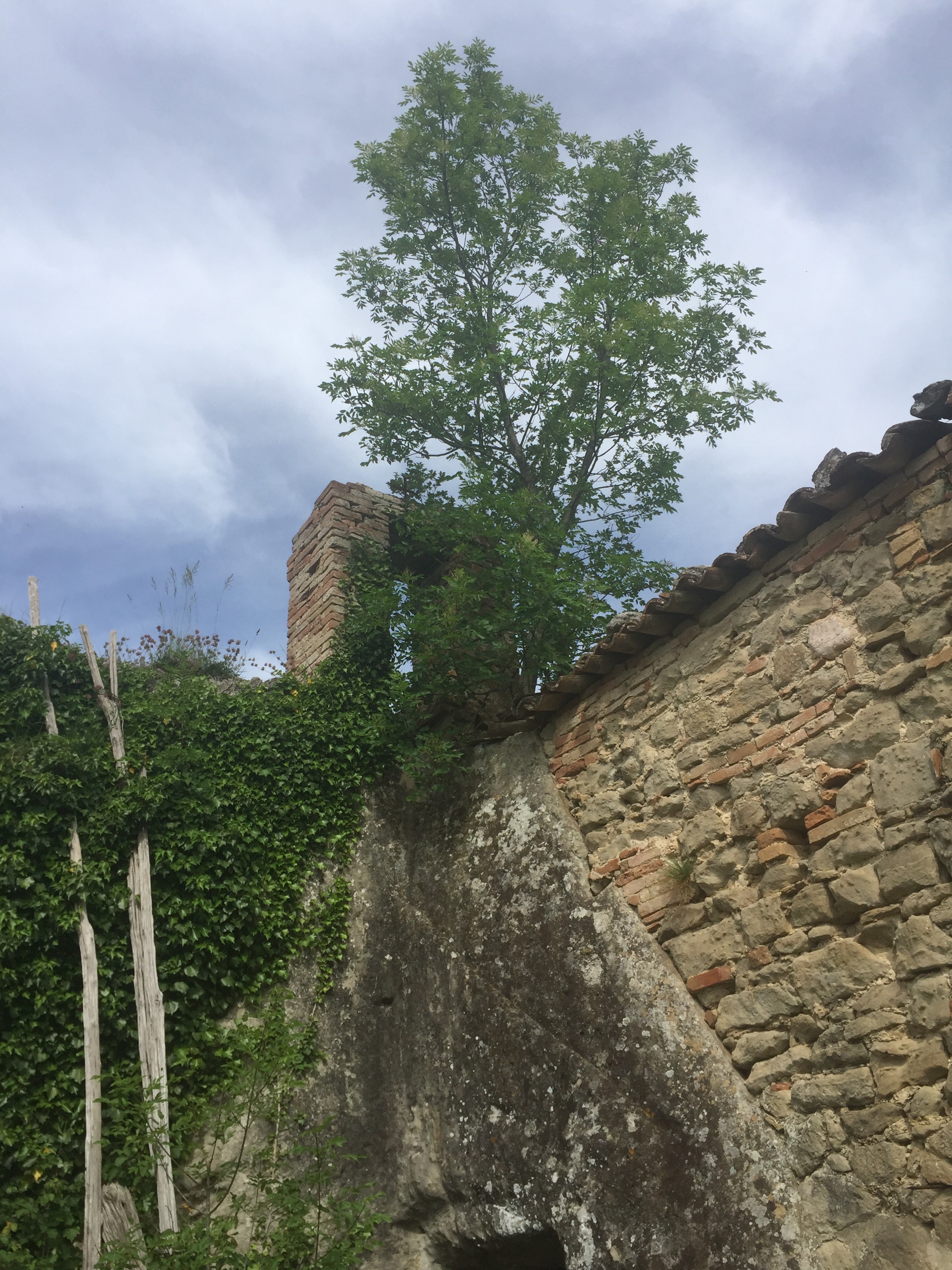 SANTA MARIA IN PORTELLA (O SPORTELLA)