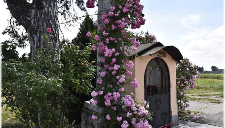 MADONNINA DELLA CHIESA DEL CONVENTO