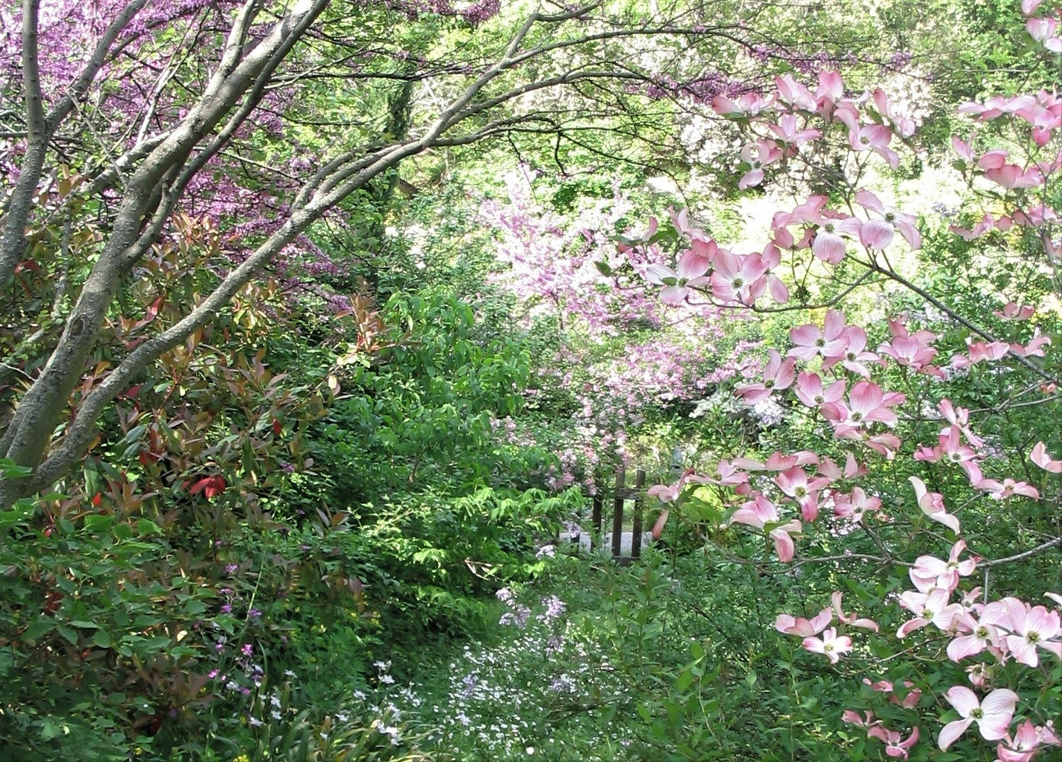 GIARDINI DEL CASONCELLO