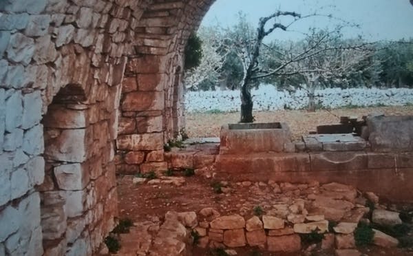 PALMENTO IN CONTRADA CONZANE