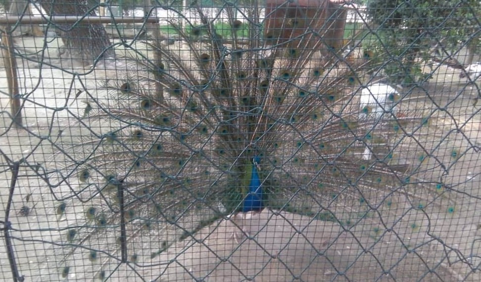 GIARDINI DI VILLA PERIPATO