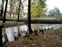 FAI CREMA - I Giardini di Porta Serio sono giunti all'84° posto nella  classifica nazionale dei Luoghi del cuore