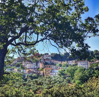 ZANGARONA