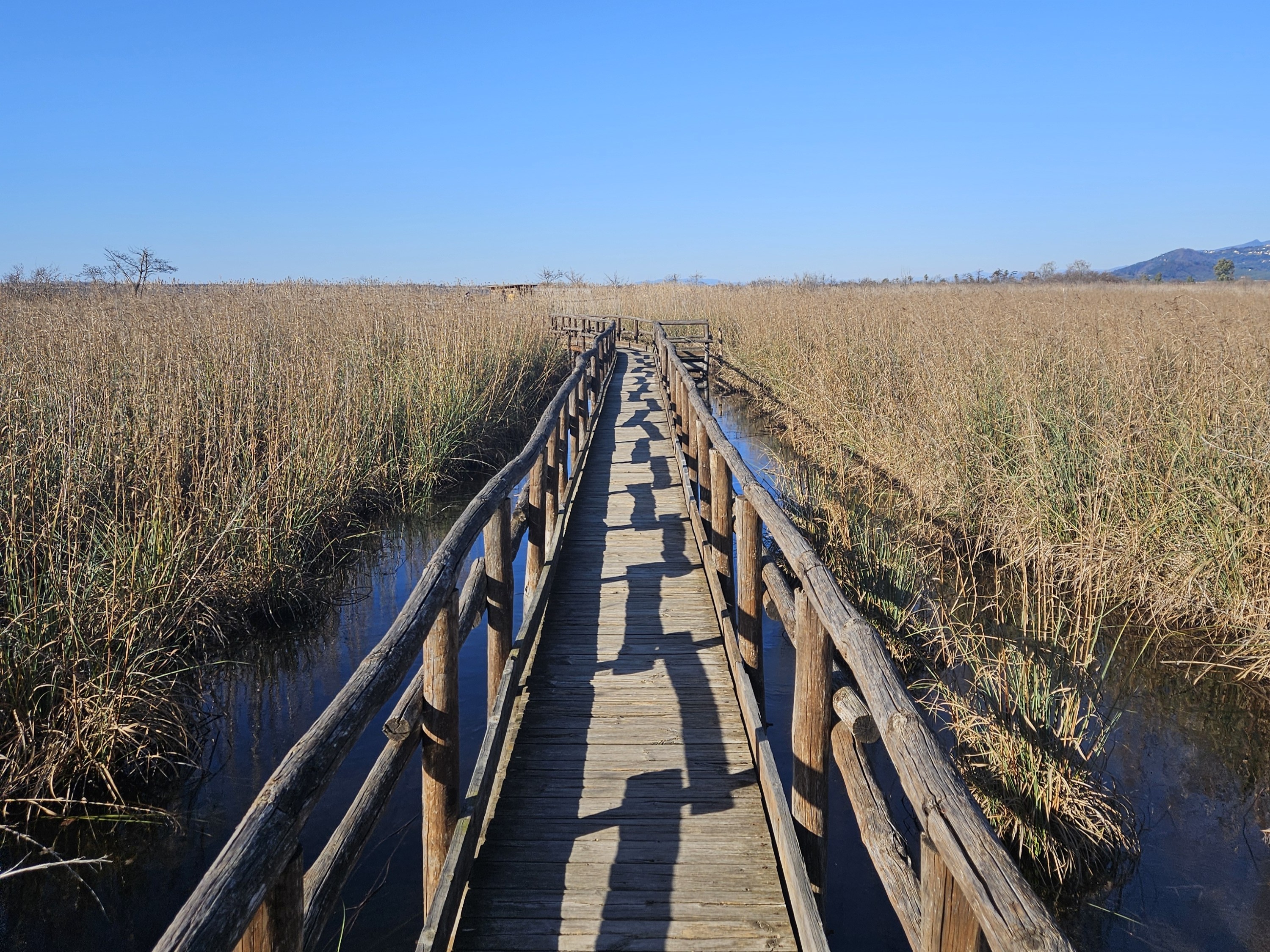 OASI LIPU MASSACIUCCOLI-RISERVA DEL CHIARONE