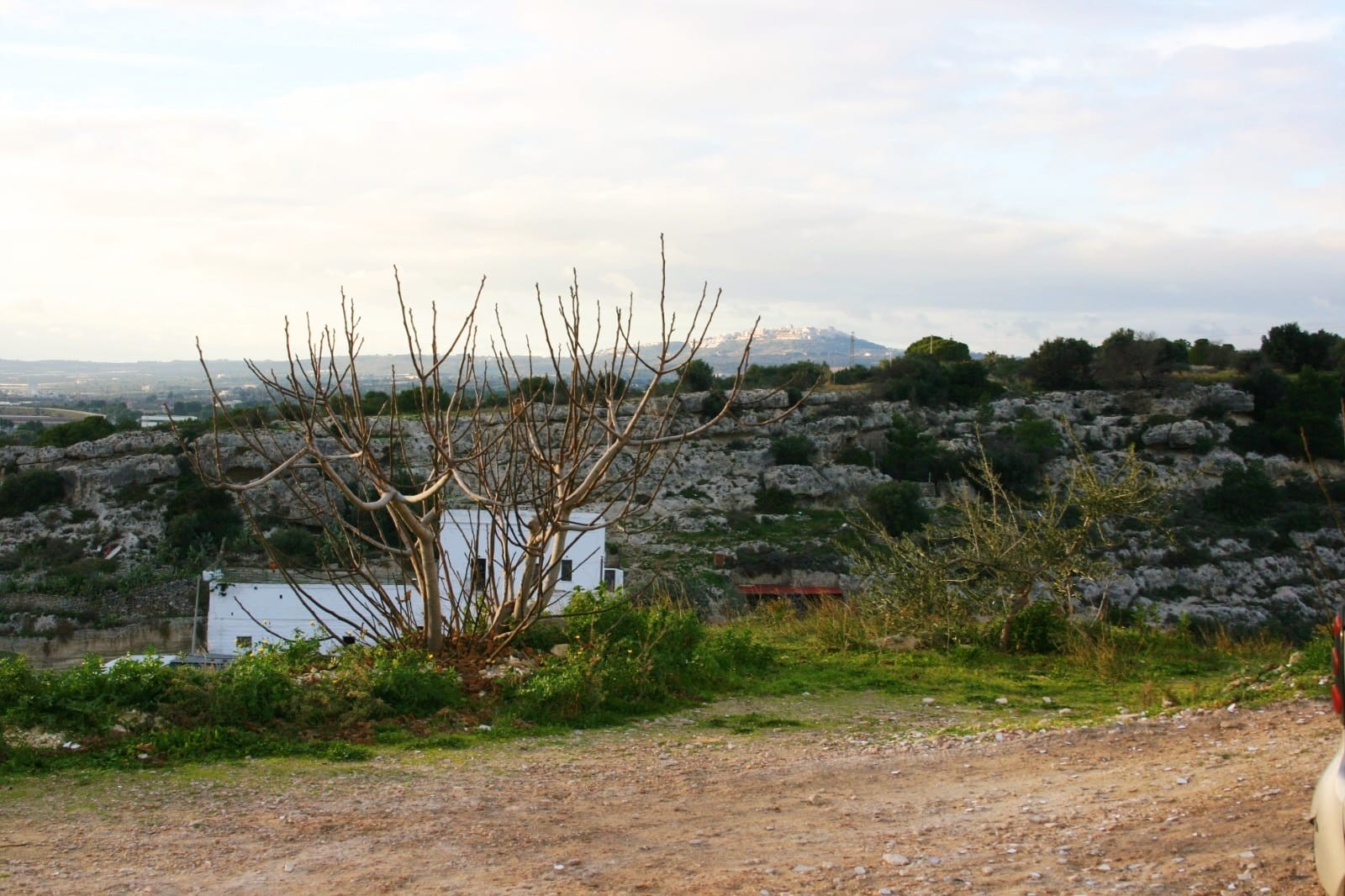 LA TERRAZZA SULL'ORO VERDE DI MASSAFRA