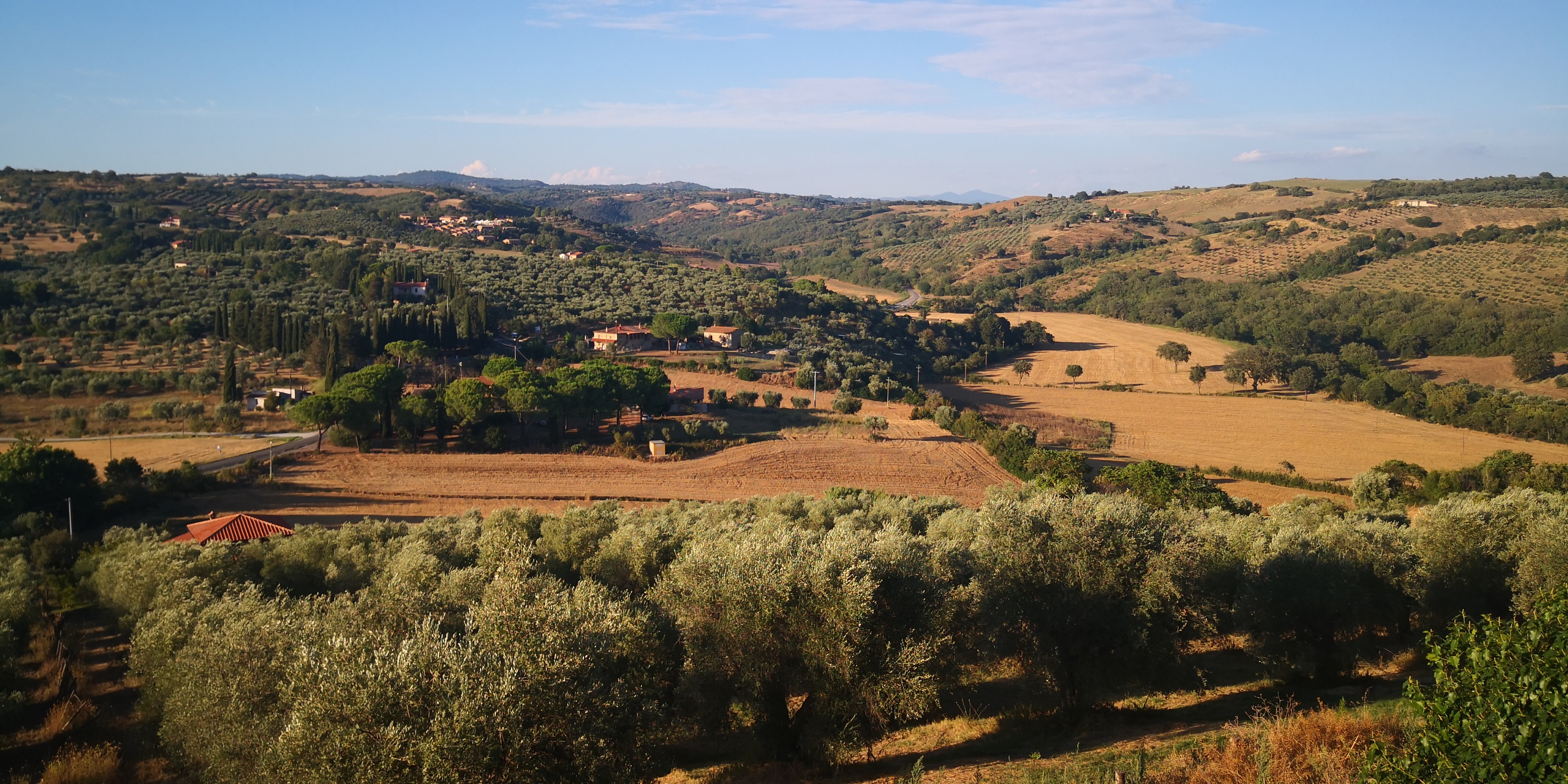 MAGLIANO IN TOSCANA