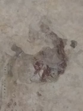 BATTISTERO DI BIELLA IN PIAZZA DUOMO