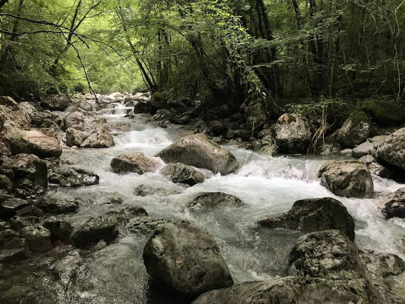 POLAVA | I Luoghi del Cuore - FAI