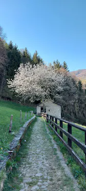 SENTIERO PEDONALE MADONNA DELLA FOPPA-MULINO
