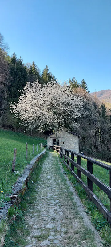SENTIERO PEDONALE MADONNA DELLA FOPPA-MULINO SENTIERO PEDONALE MADONNA DELLA FOPPA-MULINO