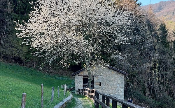 SENTIERO PEDONALE MADONNA DELLA FOPPA-MULINO