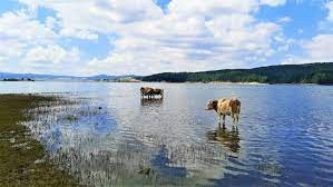LAGO CECITA